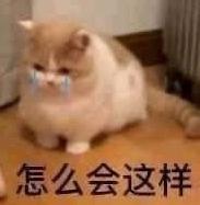 DƬ